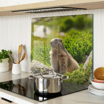 Tabla de cortar de cristal Marmota sobre un fondo de hierba verde