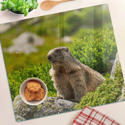 Tabla de cortar de cristal Marmota sobre un fondo de hierba verde