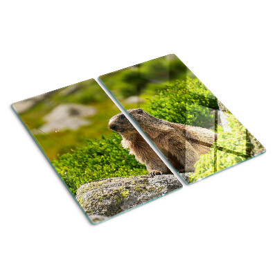 Tabla de cortar de cristal Marmota sobre un fondo de hierba verde