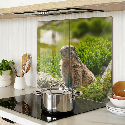 Tabla de cortar de cristal Marmota sobre un fondo de hierba verde