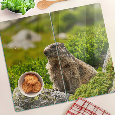 Tabla de cortar de cristal Marmota sobre un fondo de hierba verde