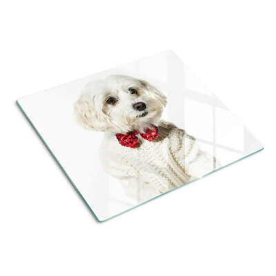 Tabla de cortar de cristal Perro con un suéter con un lazo