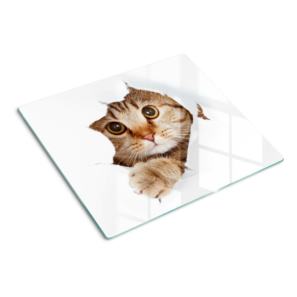 Tabla de cortar de cristal Un gato saliendo de un agujero