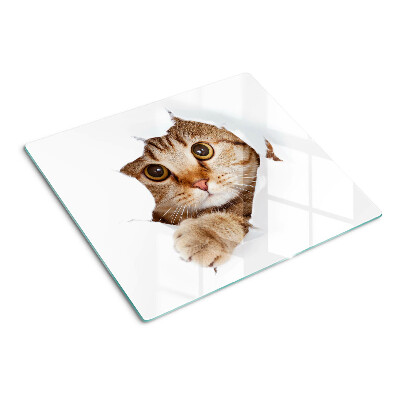 Tabla de cortar de cristal Un gato saliendo de un agujero