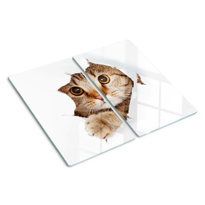 Tabla de cortar de cristal Un gato saliendo de un agujero