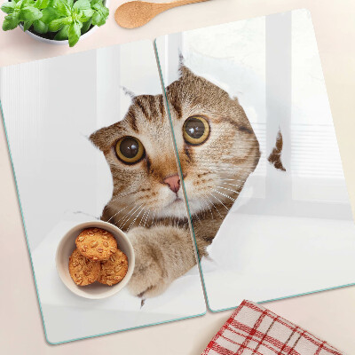 Tabla de cortar de cristal Un gato saliendo de un agujero