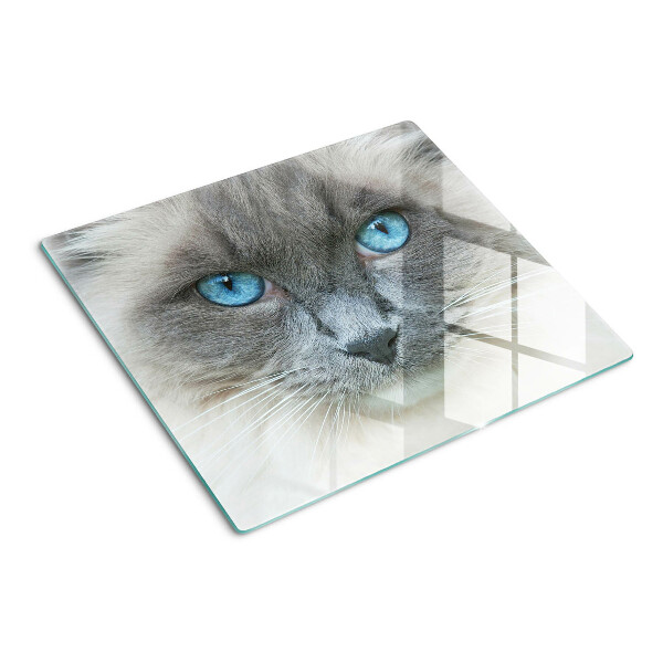 Tabla para cortar Gato con ojos azules