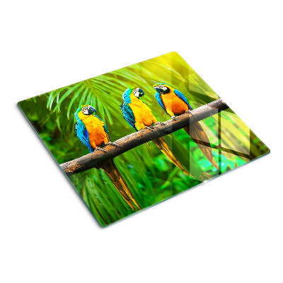 Tabla para cortar Loros en una rama en los trópicos.