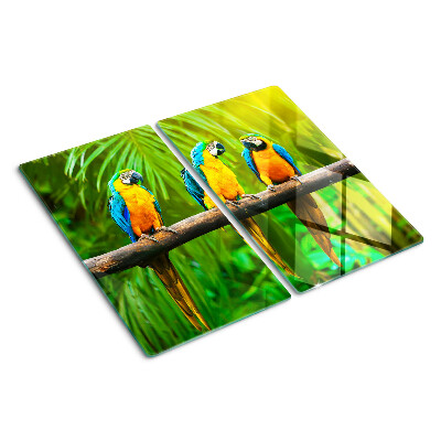 Tabla para cortar Loros en una rama en los trópicos.