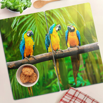 Tabla para cortar Loros en una rama en los trópicos.