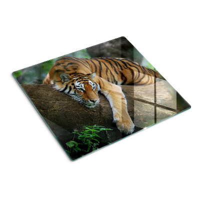 Tabla de cortar de cristal Tigre en el tronco de un árbol