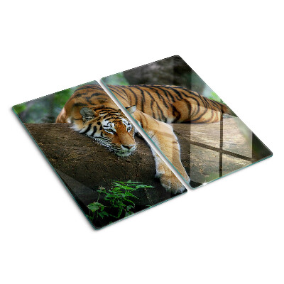 Tabla de cortar de cristal Tigre en el tronco de un árbol