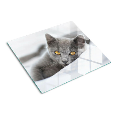 Tabla de cortar de cristal Gato con ojos amarillos