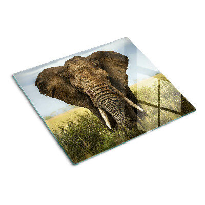 Tabla para cortar Un elefante con la sabana africana como telón de fondo.