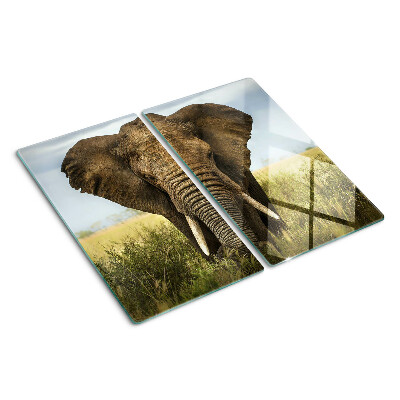 Tabla para cortar Un elefante con la sabana africana como telón de fondo.