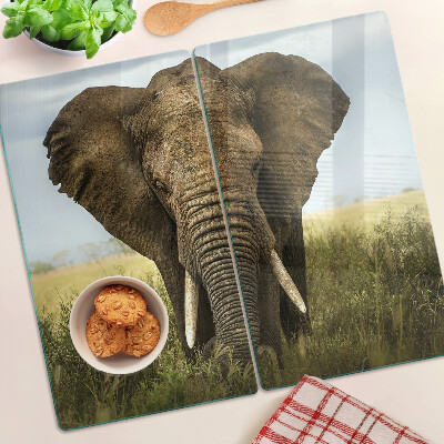 Tabla para cortar Un elefante con la sabana africana como telón de fondo.