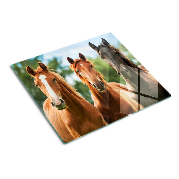 Tabla de cortar de cristal Caballos en la naturaleza