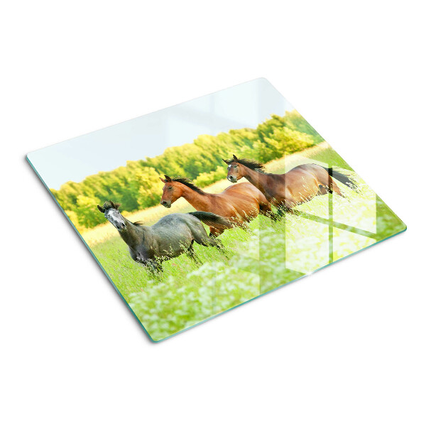 Tabla de cortar de cristal Un encuentro de caballos en el campo.