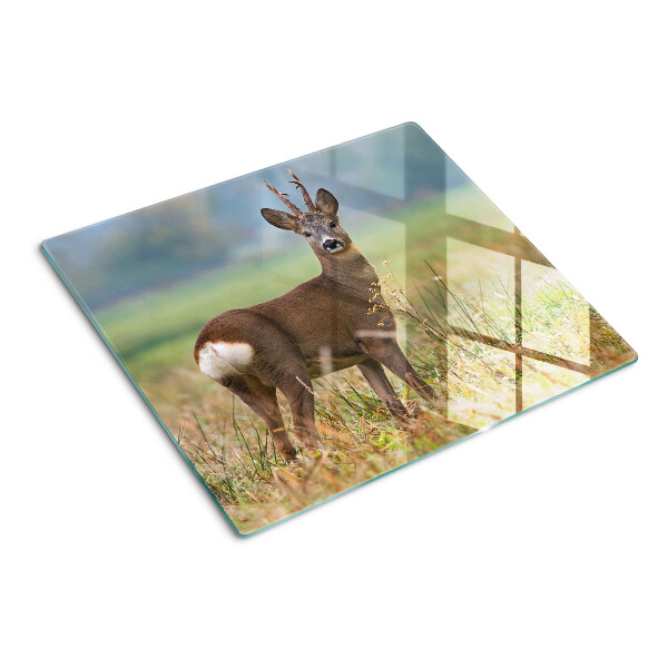 Tabla de cortar de cristal Corzo en su hábitat natural