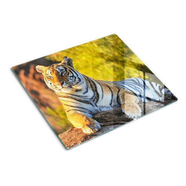 Tabla de cortar de cristal Tigre en el fondo de la naturaleza.
