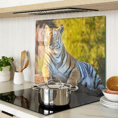 Tabla de cortar de cristal Tigre en el fondo de la naturaleza.
