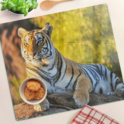 Tabla de cortar de cristal Tigre en el fondo de la naturaleza.