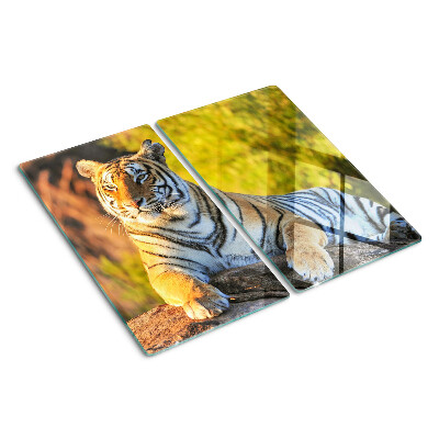 Tabla de cortar de cristal Tigre en el fondo de la naturaleza.