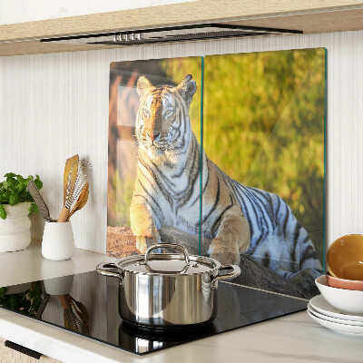Tabla de cortar de cristal Tigre en el fondo de la naturaleza.