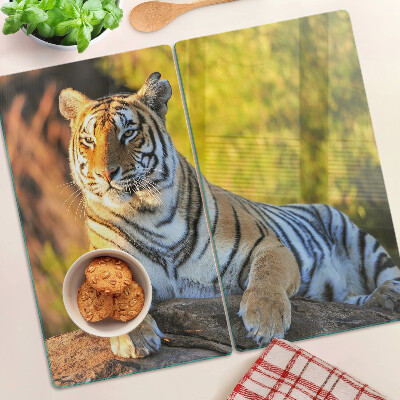 Tabla de cortar de cristal Tigre en el fondo de la naturaleza.
