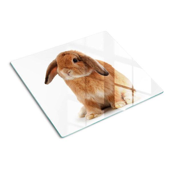 Tabla para cortar Conejo sobre fondo blanco