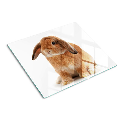 Tabla para cortar Conejo sobre fondo blanco