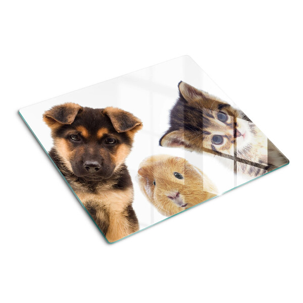 Tabla de cortar de cristal Perros, gatos, conejos