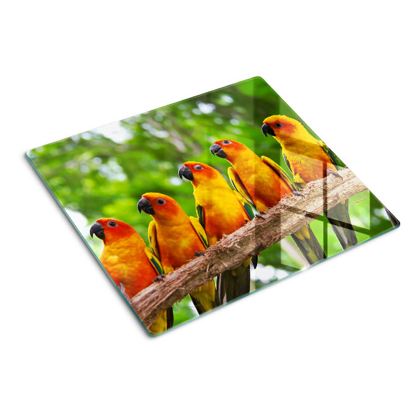 Tabla de cortar de cristal Loros en una rama