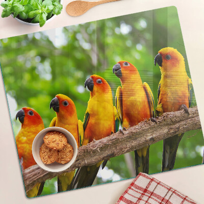 Tabla de cortar de cristal Loros en una rama