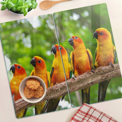 Tabla de cortar de cristal Loros en una rama