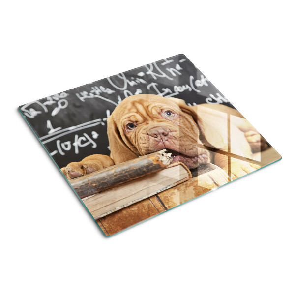 Tabla para cortar Perro con libros y una pizarra.