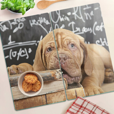 Tabla para cortar Perro con libros y una pizarra.