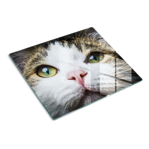 Tabla para cortar Gato con ojos verdes