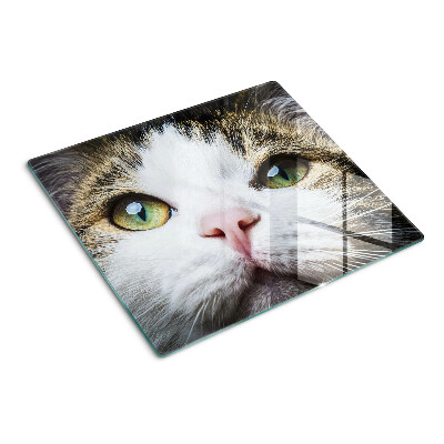 Tabla para cortar Gato con ojos verdes
