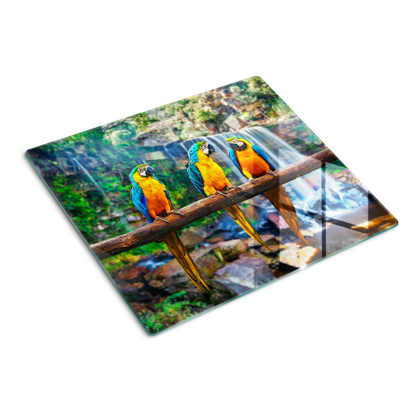 Tabla de cortar de cristal Loros en una rama en un bosque tropical.