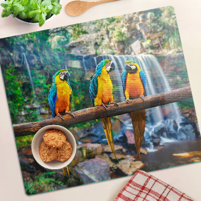 Tabla de cortar de cristal Loros en una rama en un bosque tropical.