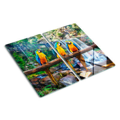 Tabla de cortar de cristal Loros en una rama en un bosque tropical.