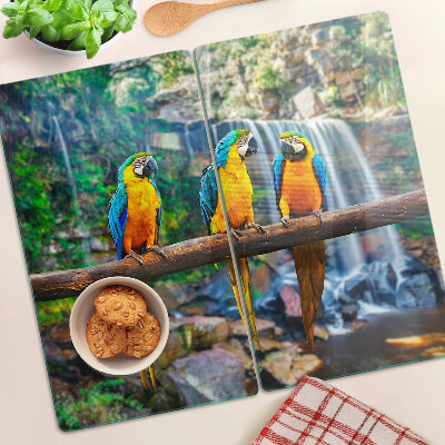 Tabla de cortar de cristal Loros en una rama en un bosque tropical.