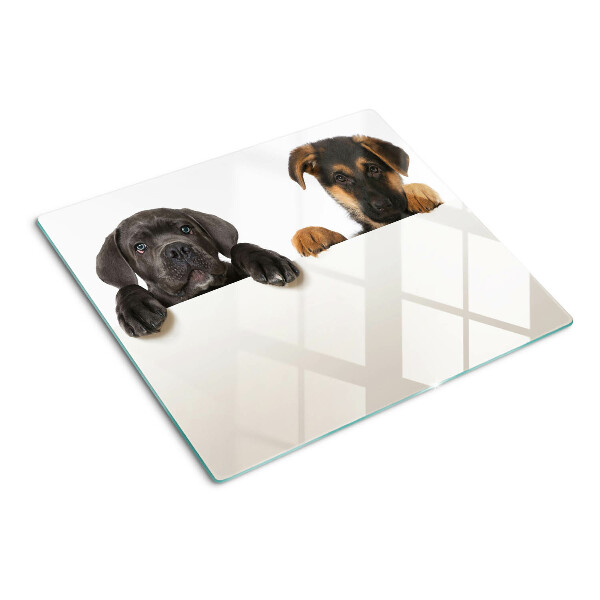 Tabla de cortar de cristal Dos perros mirando a su alrededor
