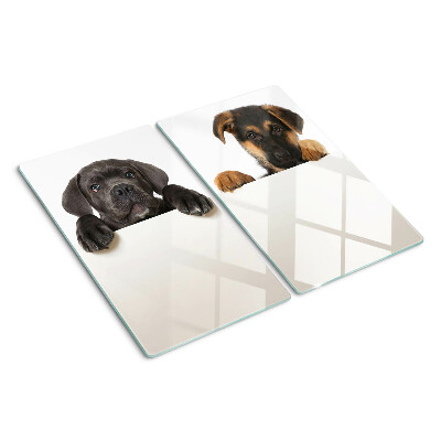 Tabla de cortar de cristal Dos perros mirando a su alrededor