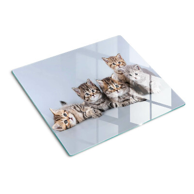 Tabla para cortar Gatos delante de la ventana