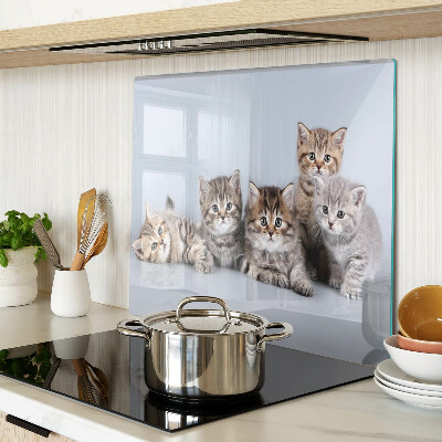 Tabla para cortar Gatos delante de la ventana