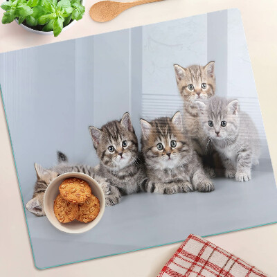 Tabla para cortar Gatos delante de la ventana