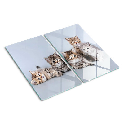 Tabla para cortar Gatos delante de la ventana