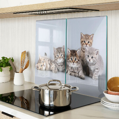 Tabla para cortar Gatos delante de la ventana